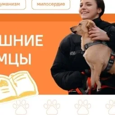 НАЧАЛО НОВОЙ УЧЕБНОЙ НЕДЕЛИ